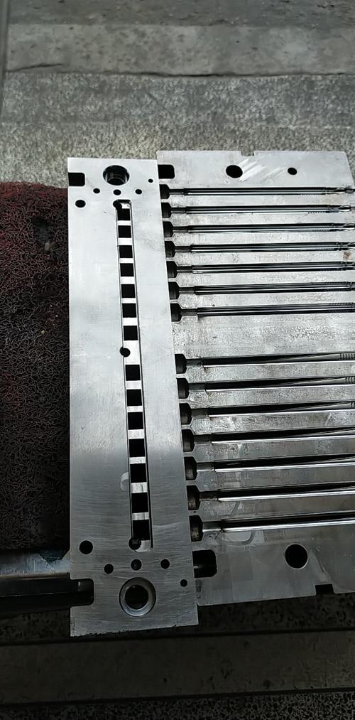匠心筑夢，育見未來 溫州鴻通模具與溫州教育的共生之道